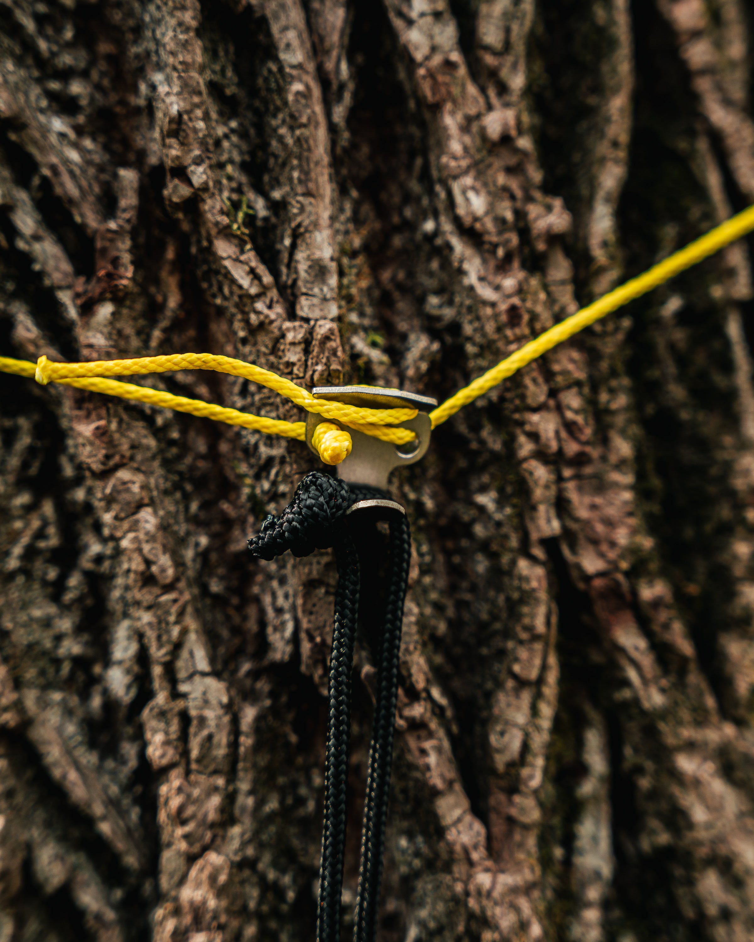 Twig Saver Gear Hook