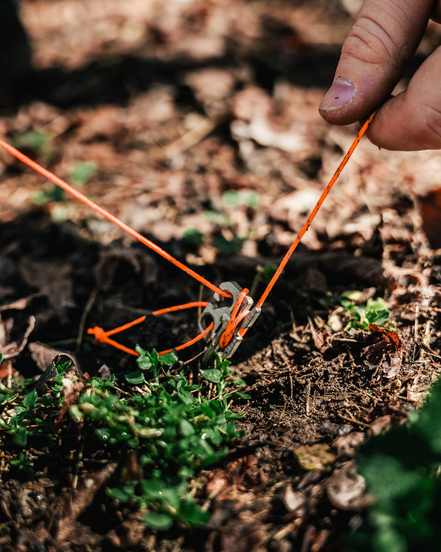 BEW Dirt Dart Titanium Tent Stakes — Grade 5, No-Knot