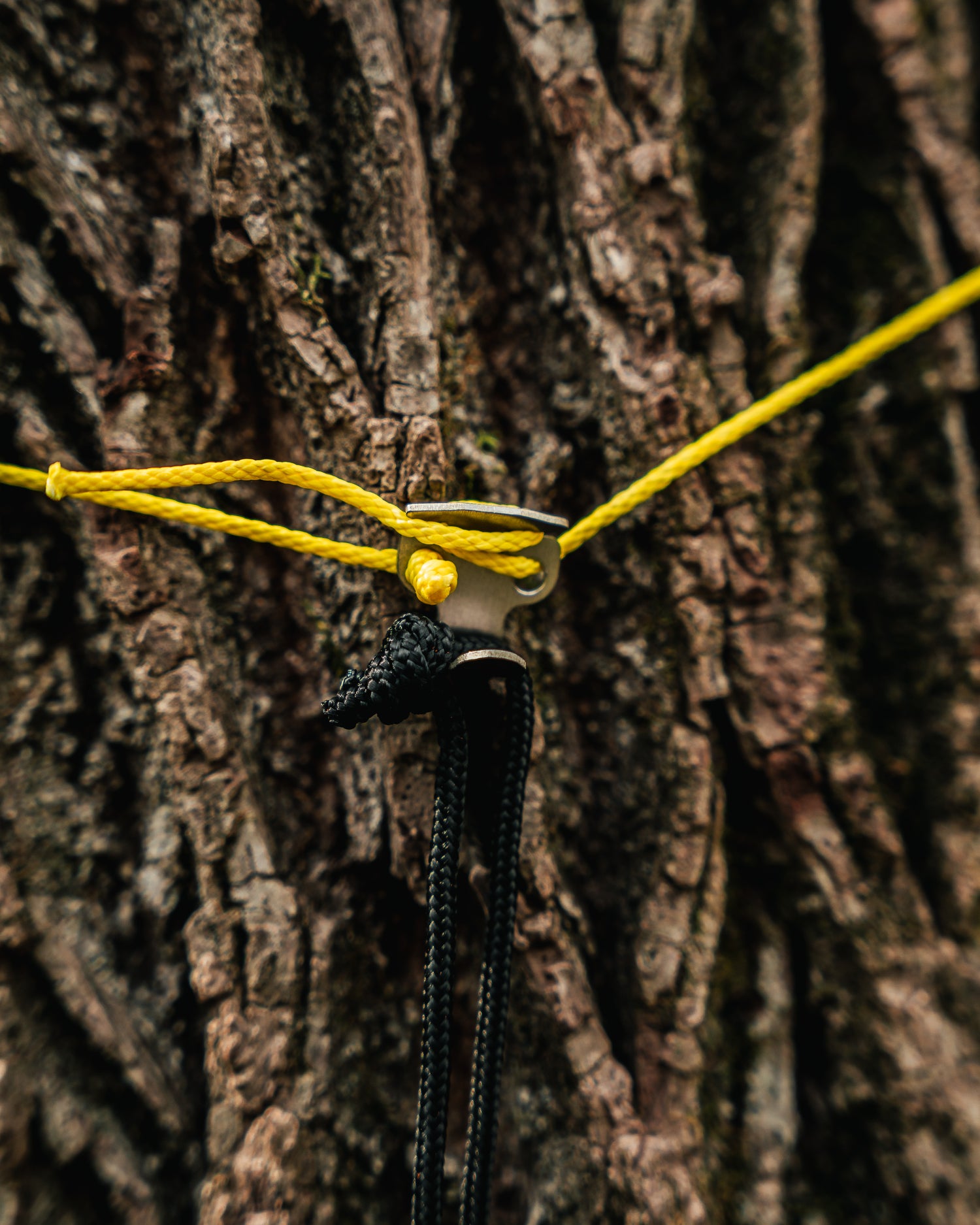 Twig Saver Gear Hook