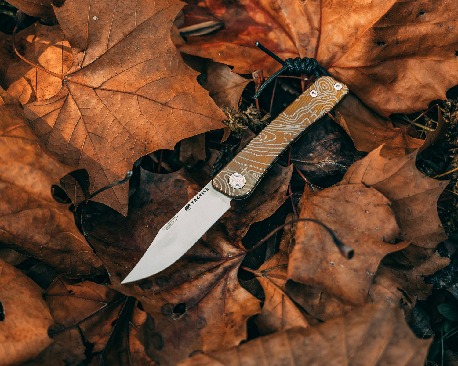 CC Bexar Bronze Topo
