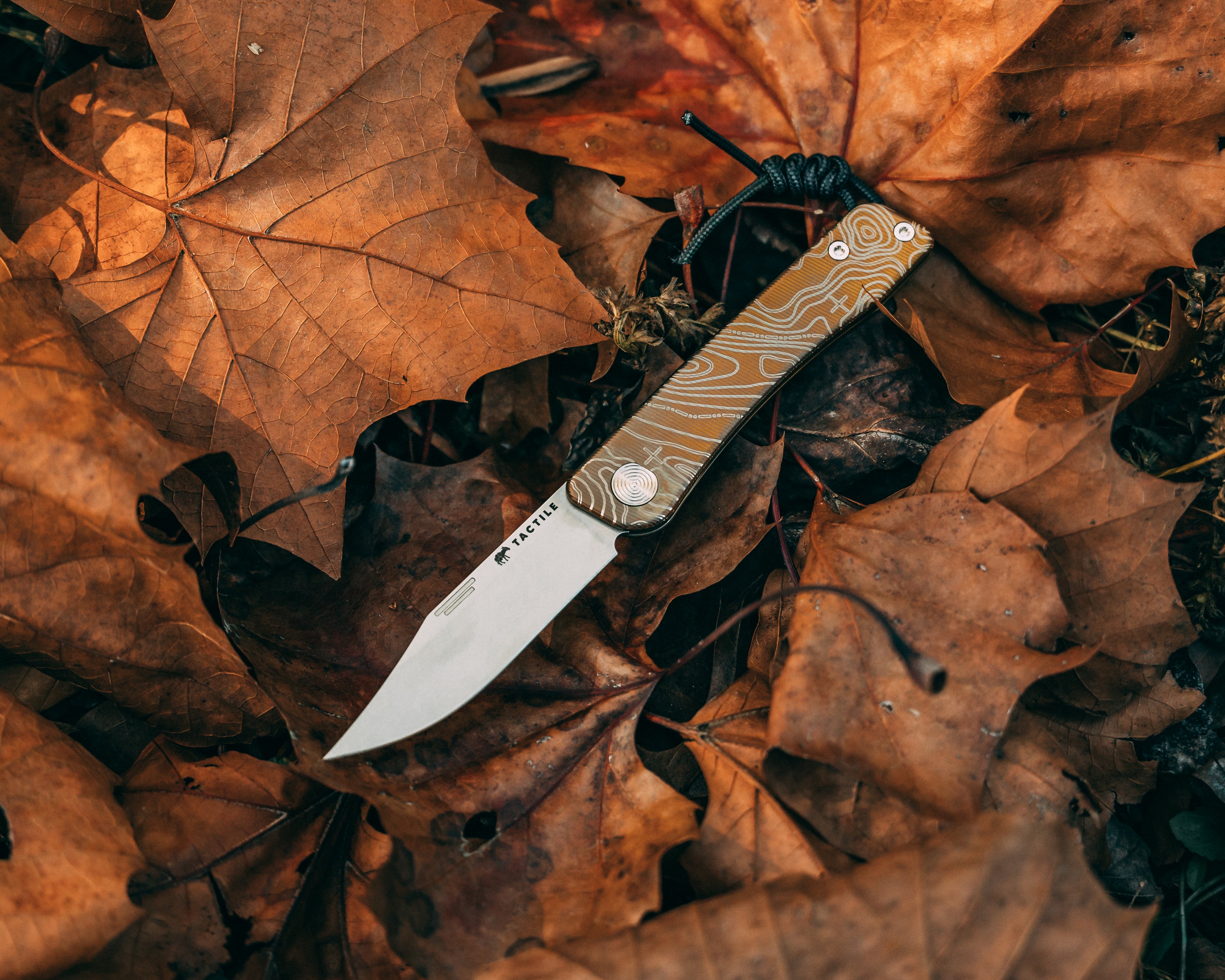 CC Bexar Bronze Topo